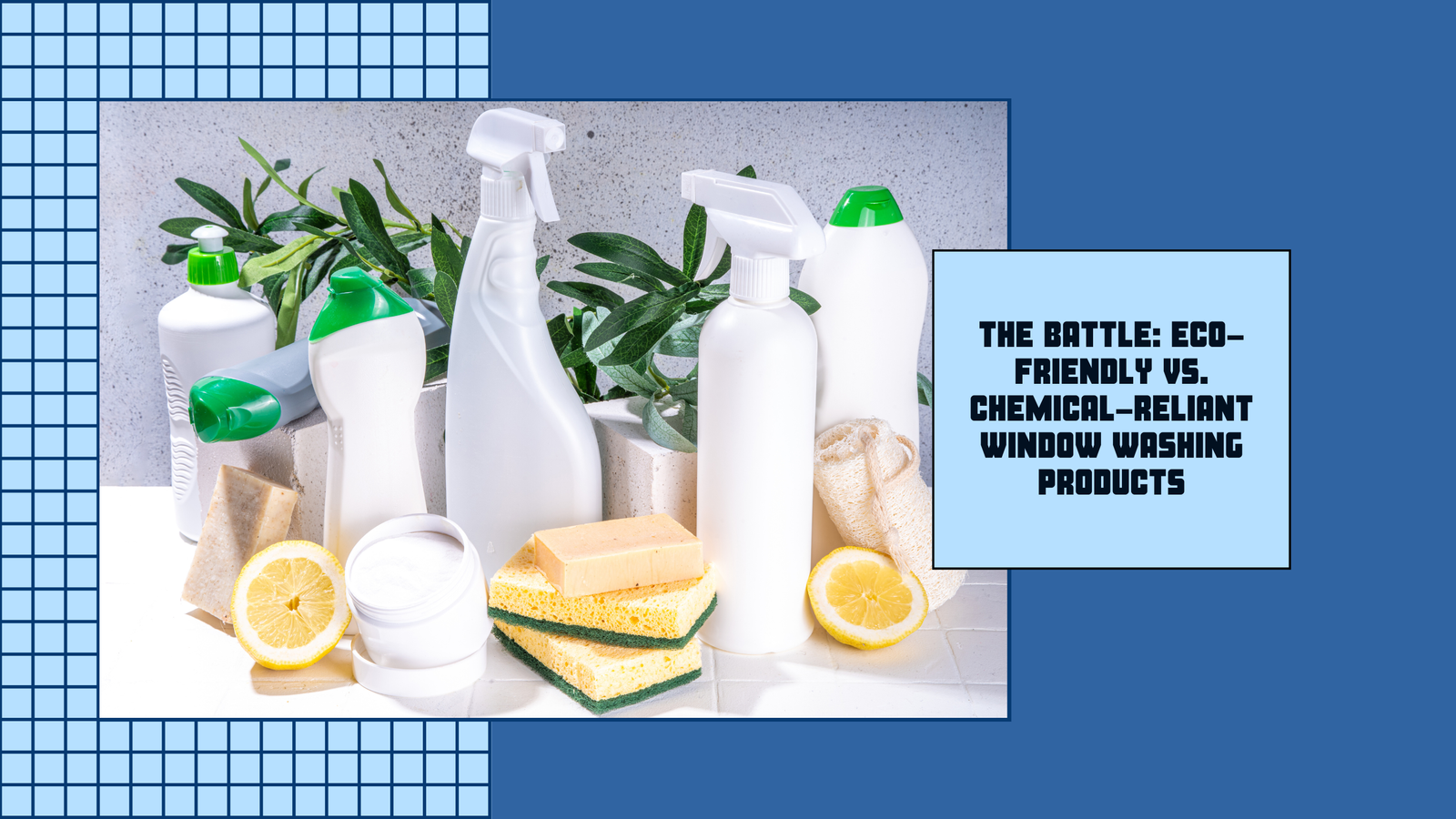 Read more about the article Eco-Friendly vs. Chemical-Reliant Window Washing Products