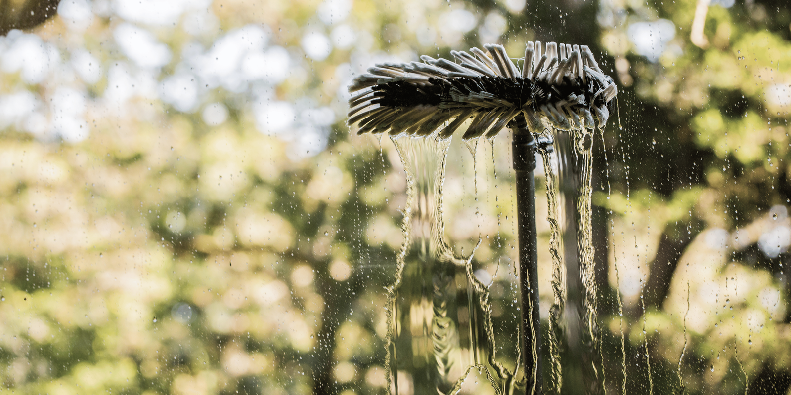 Read more about the article How Are Custom Window Cleaning Services Eco-friendly?